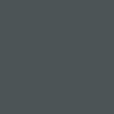4155 - Pewter – Linoleum