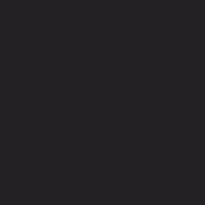 4166 - Charcoal – Linoleum
