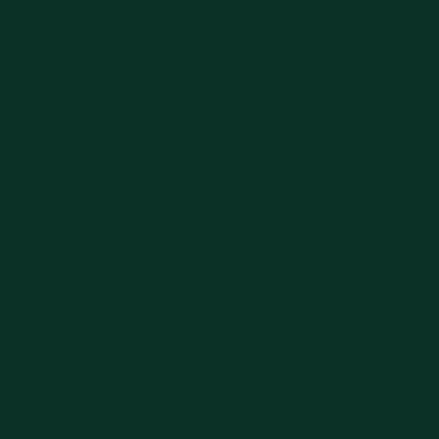 4174 - Conifer – Linoleum