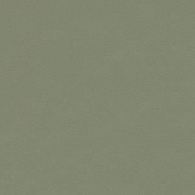 4184 - Olive – Linoleum